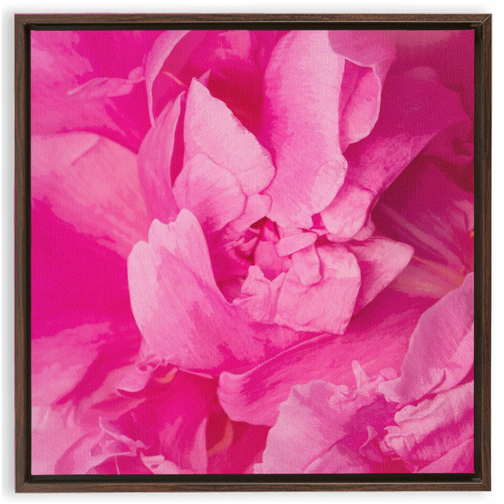 Peony Graphic 1