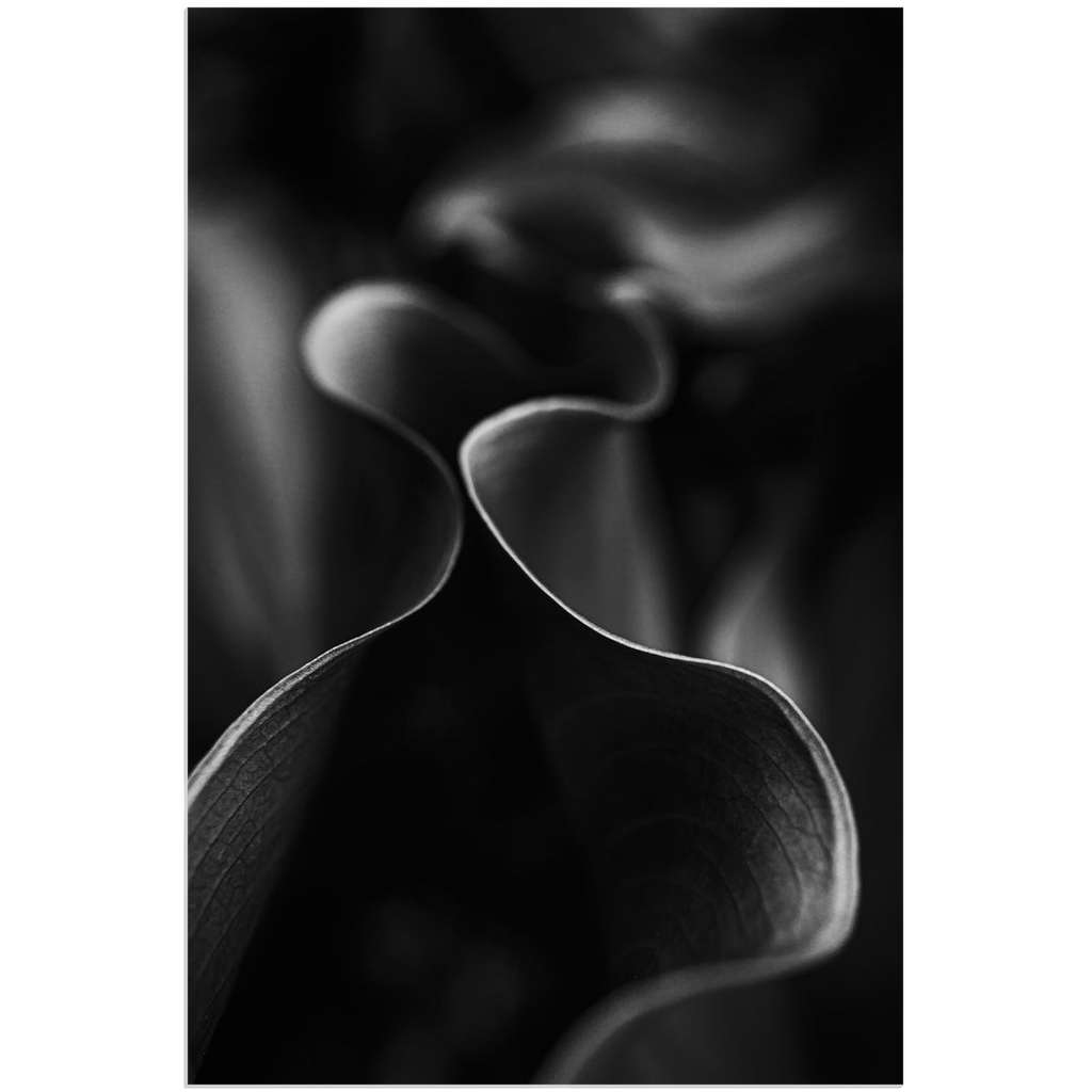 "Femme Chapeau" (Woman With Hat)