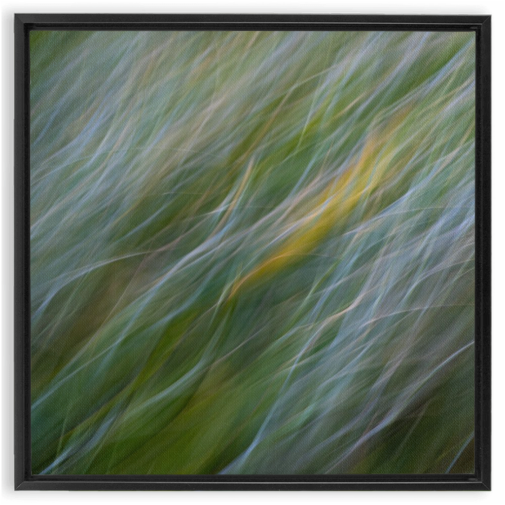 Dune Grass Penstrokes