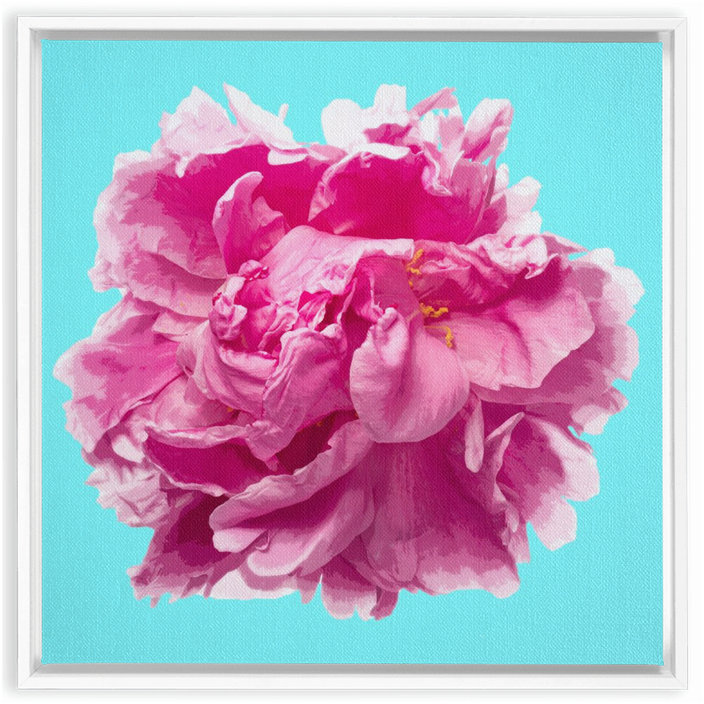 Pink Peony on Cyan