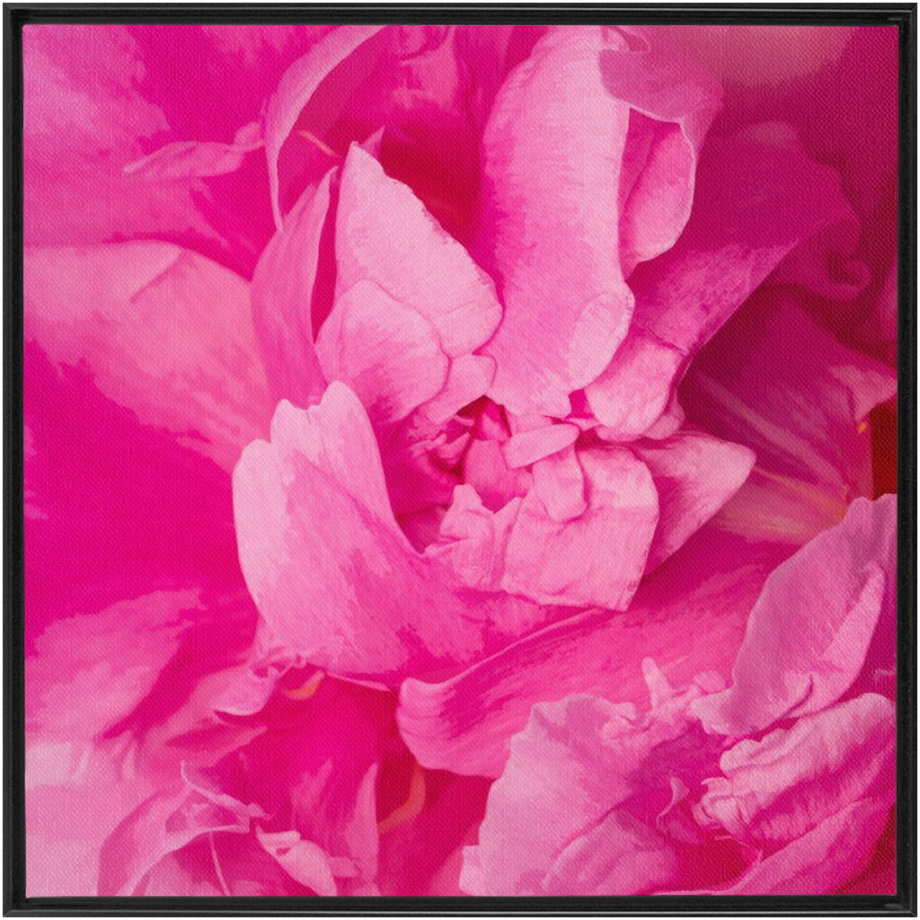 Peony Graphic 1