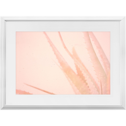 Elegant Imperfections No.1
