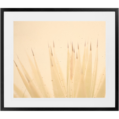 Imperfect Elegance No.4