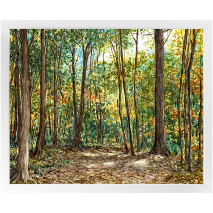 Wooded Path