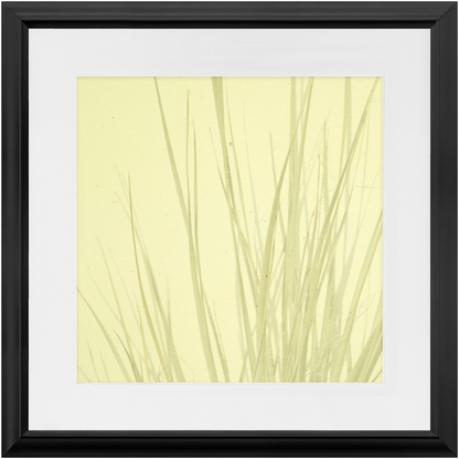 Imperfect Elegance No. 7