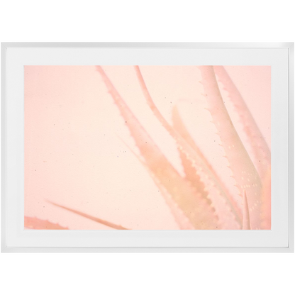 Elegant Imperfections No.1