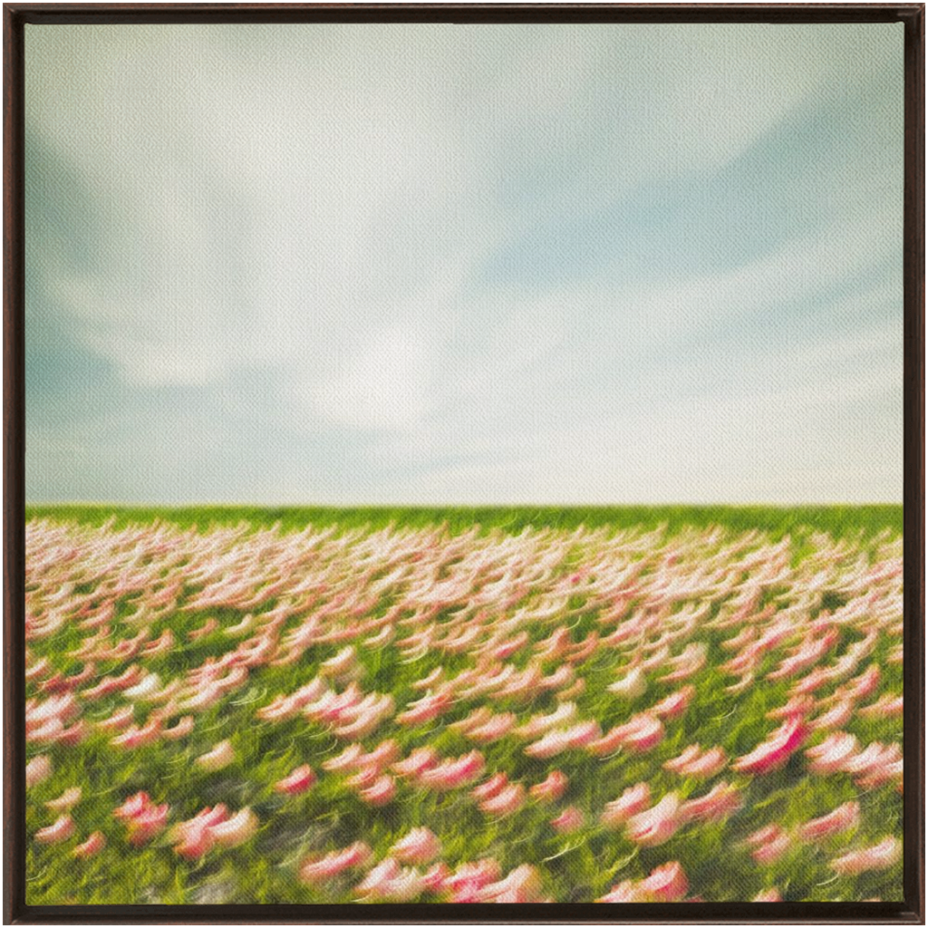 Tulip Field