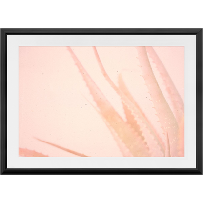 Elegant Imperfections No.1