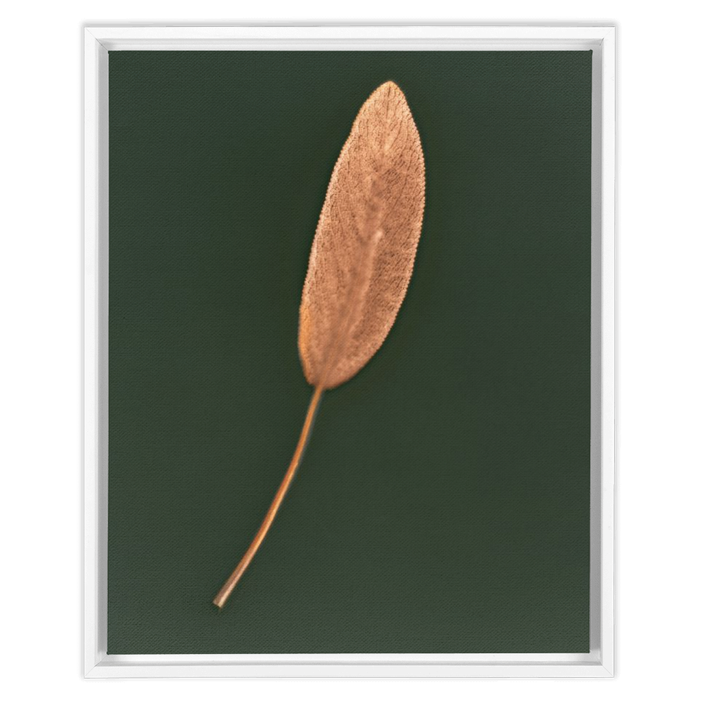 Sage Leaf