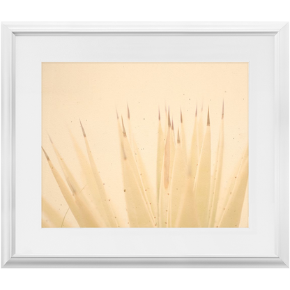 Imperfect Elegance No.4