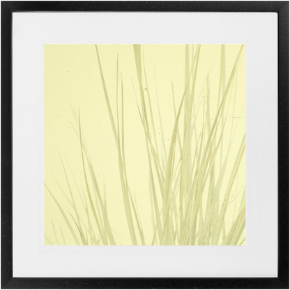 Imperfect Elegance No. 7