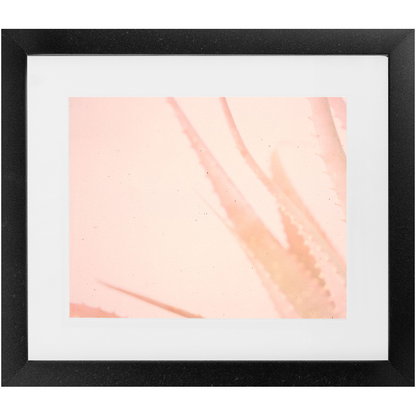 Elegant Imperfections No.1