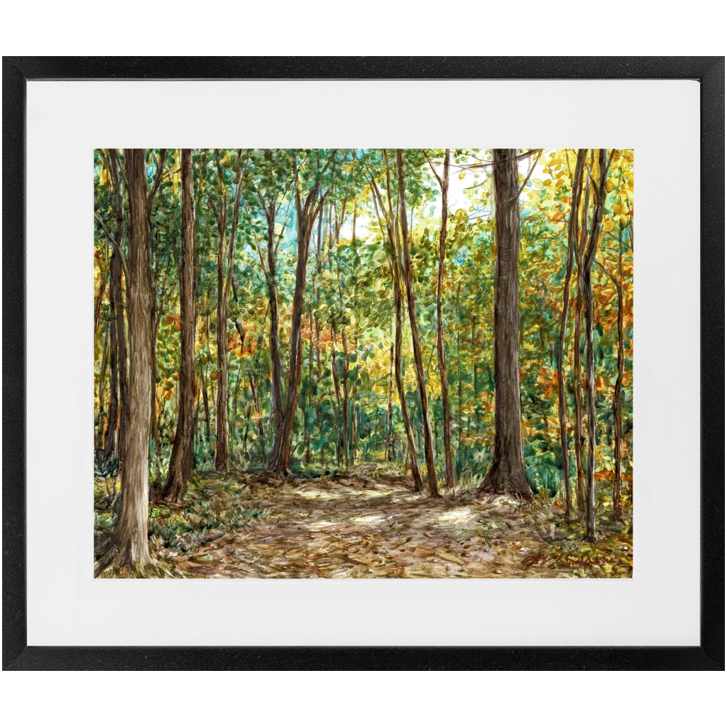 Wooded Path