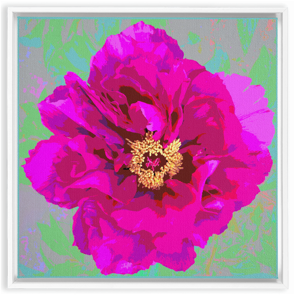 Pink Peony