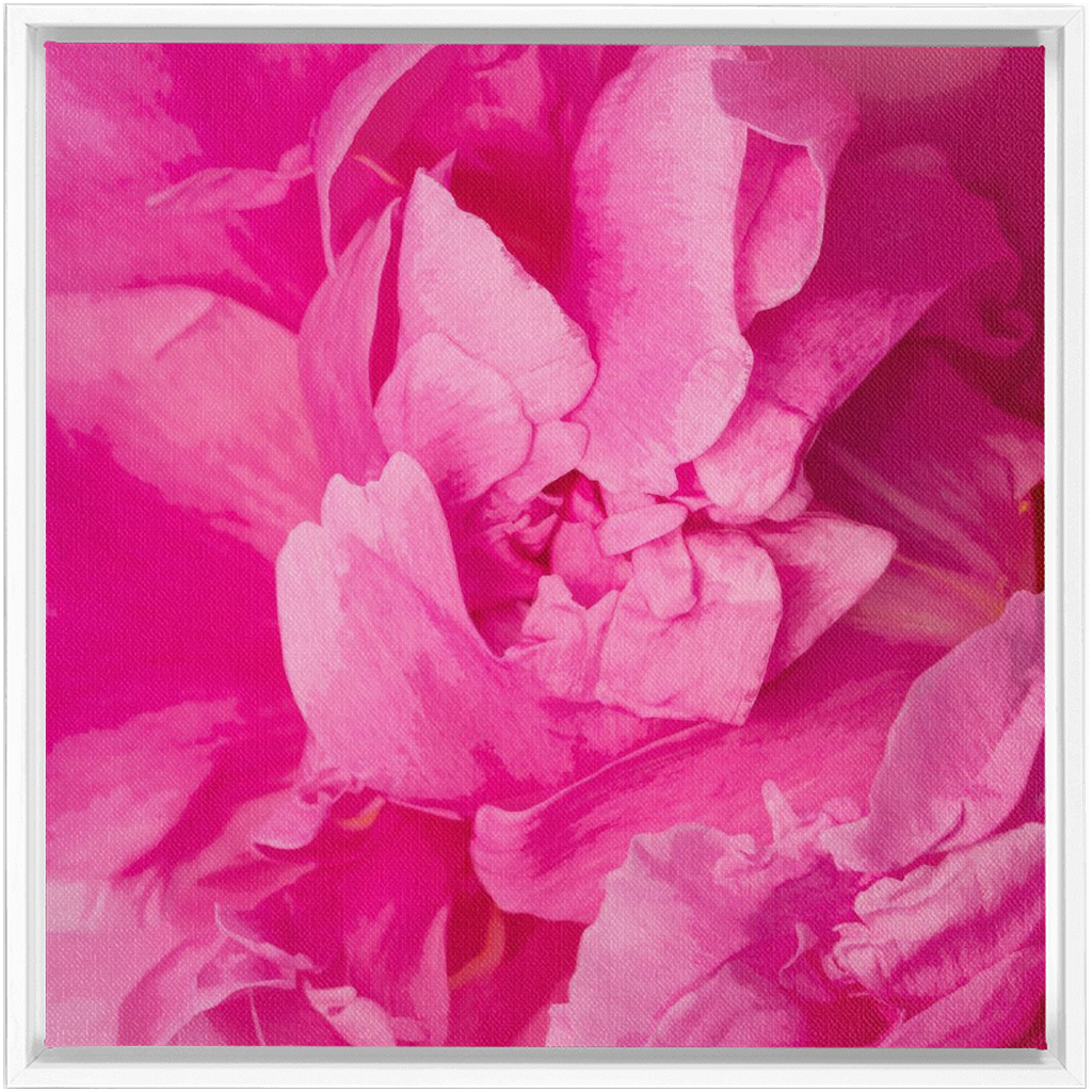 Peony Graphic 1