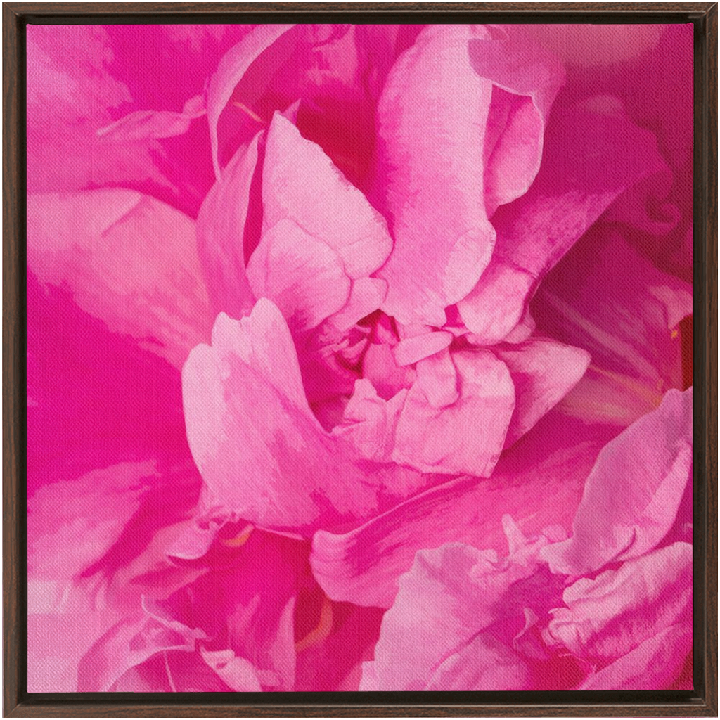 Peony Graphic 1