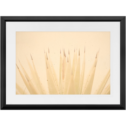 Imperfect Elegance No.4