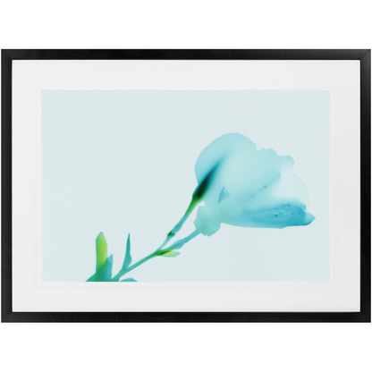 Polaroid Colour Study 