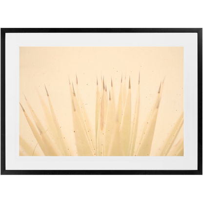 Imperfect Elegance No.4