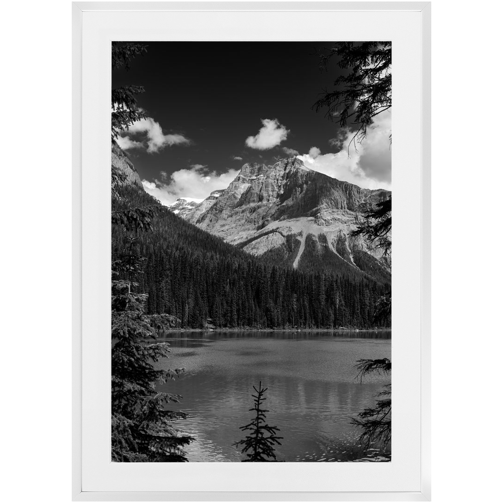 Lake, Trees &amp; Mountains