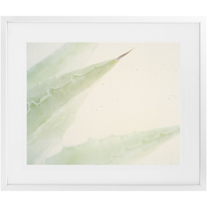 Imperfect Elegance No. 6