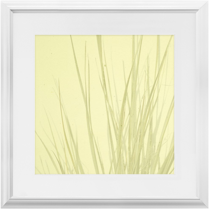 Imperfect Elegance No. 7