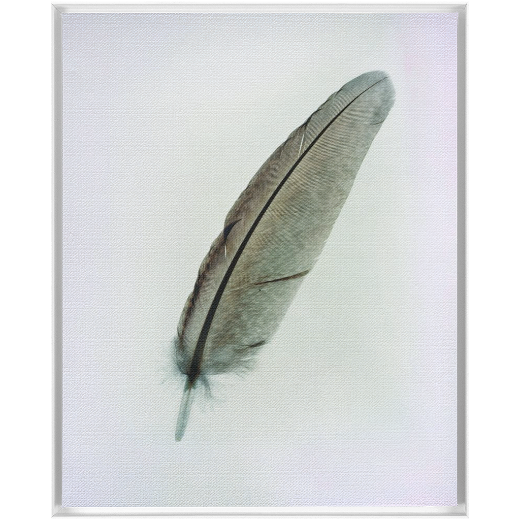 Feather Study 