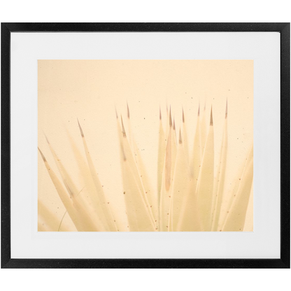 Imperfect Elegance No.4