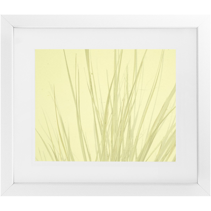 Imperfect Elegance No. 7
