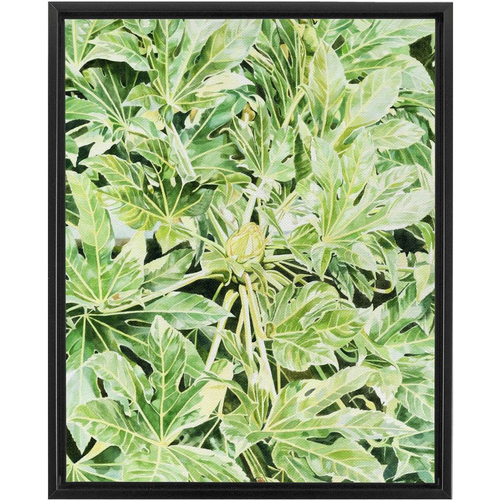 &quot;Japonica&quot;(Variegata)