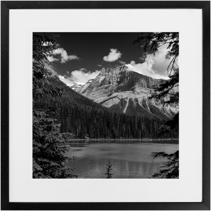 Lake, Trees &amp; Mountains