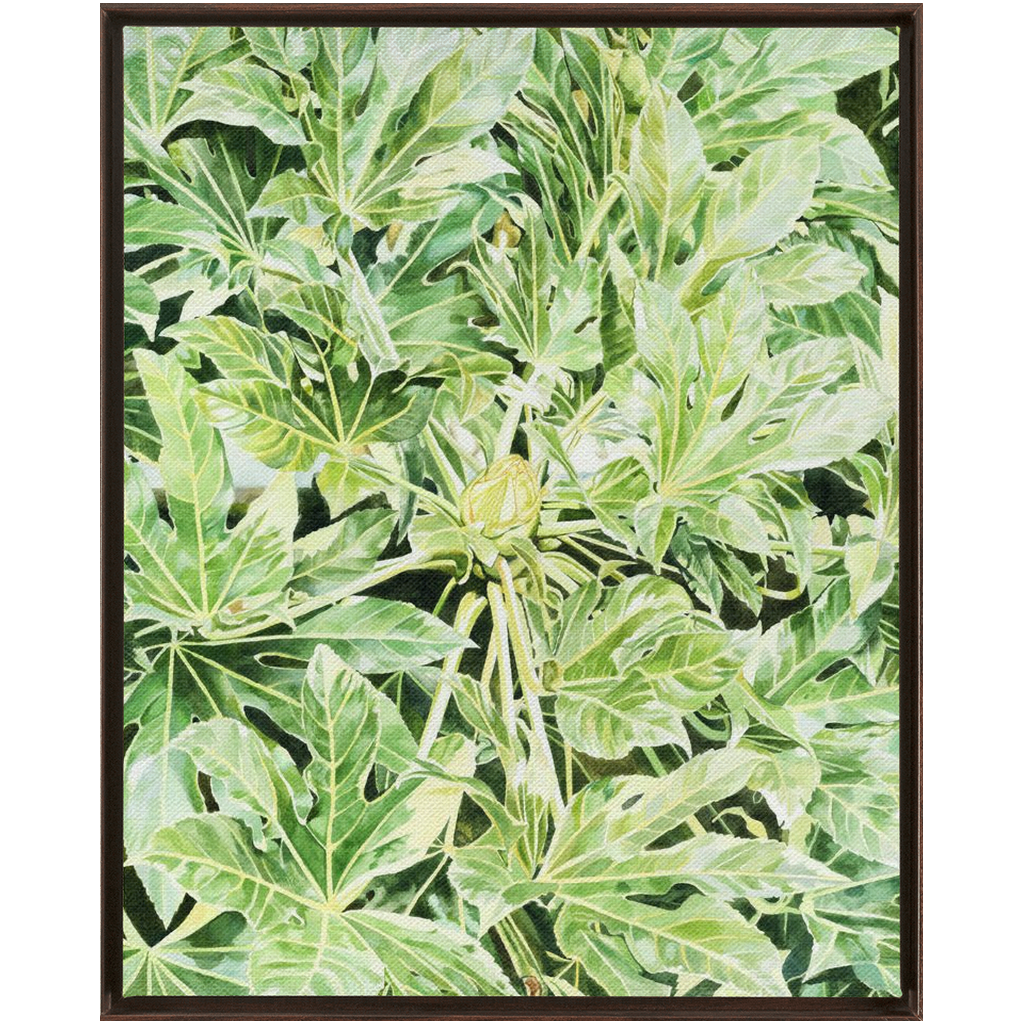 &quot;Japonica&quot;(Variegata)