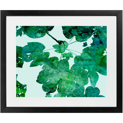 Deep Foliage
