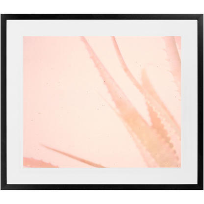 Elegant Imperfections No.1