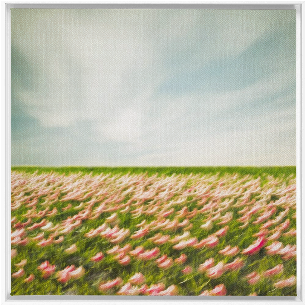 Tulip Field