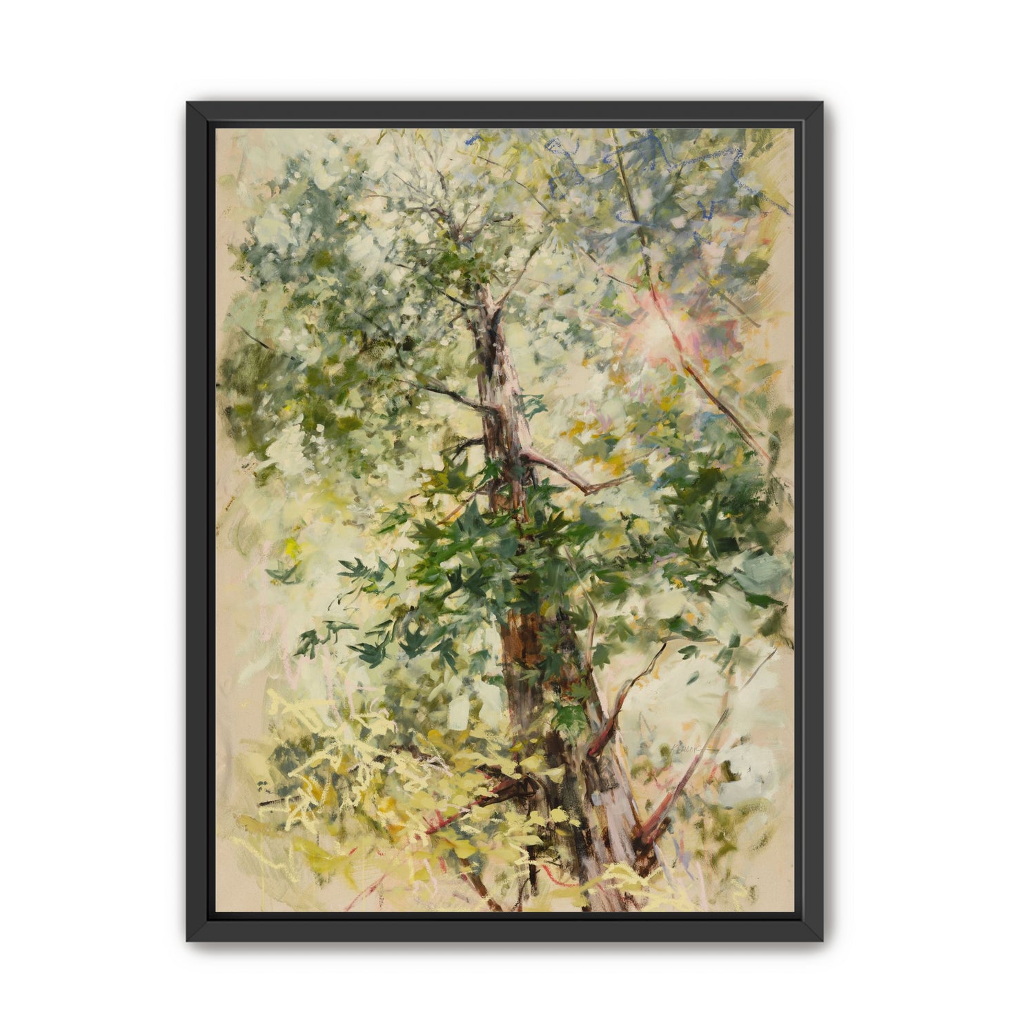 a soft place to land