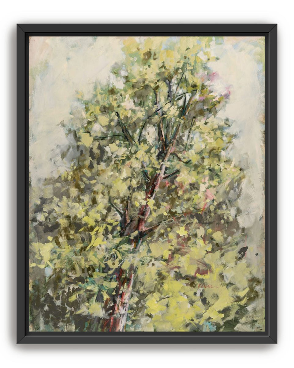 a soft place to land 2