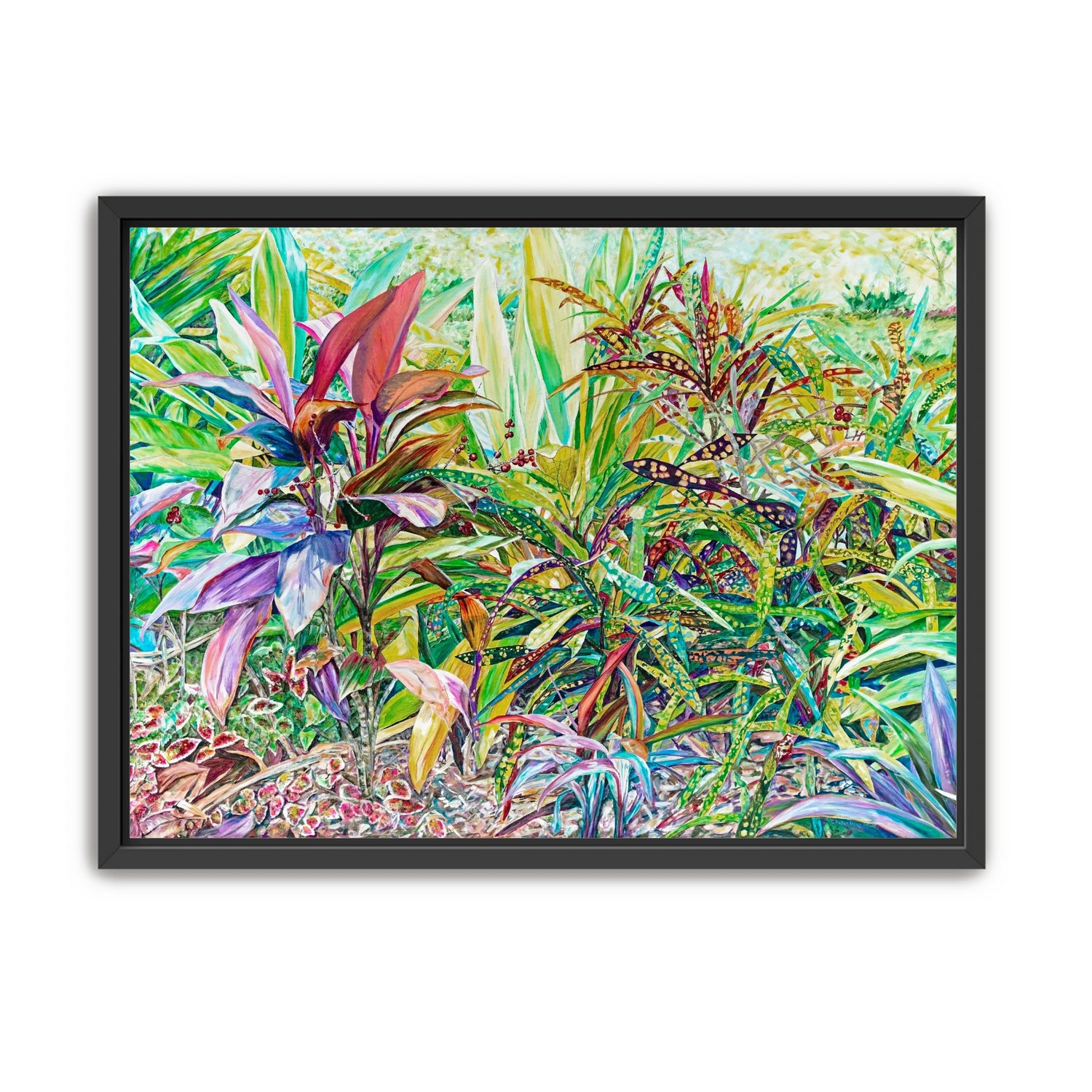 Ti Plant with Crotons