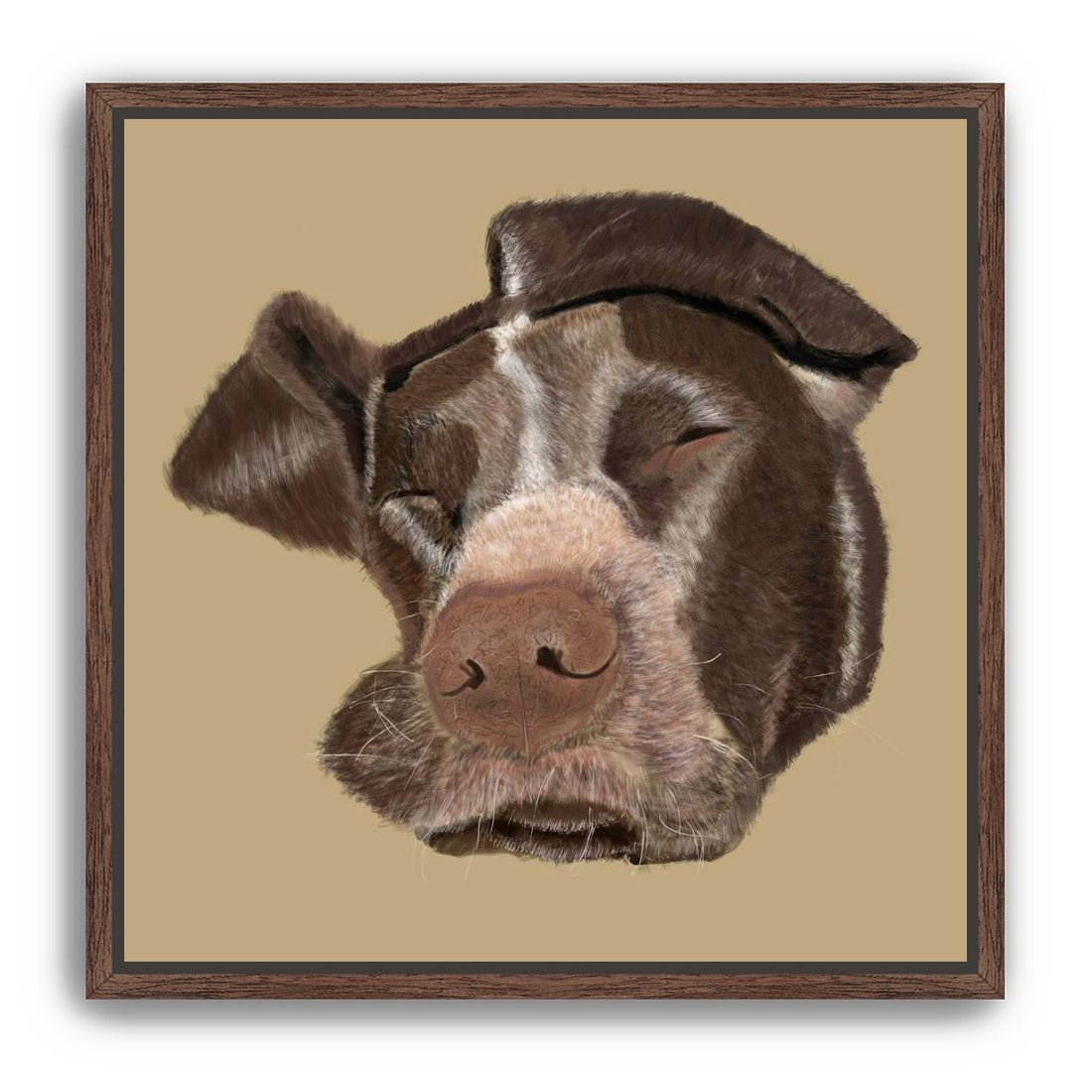 German Shorthaired Pointer