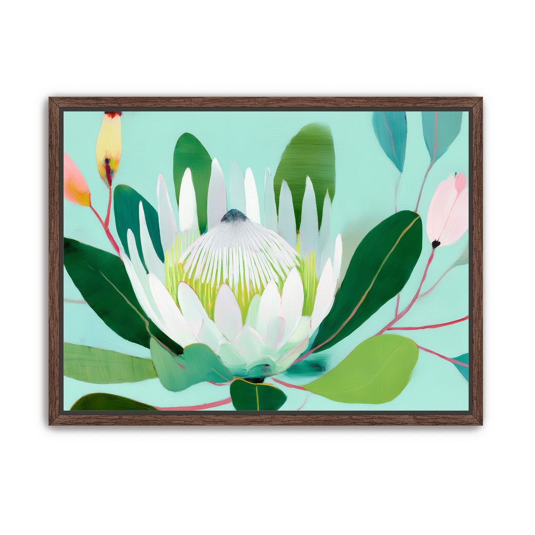 Australian Flora 4