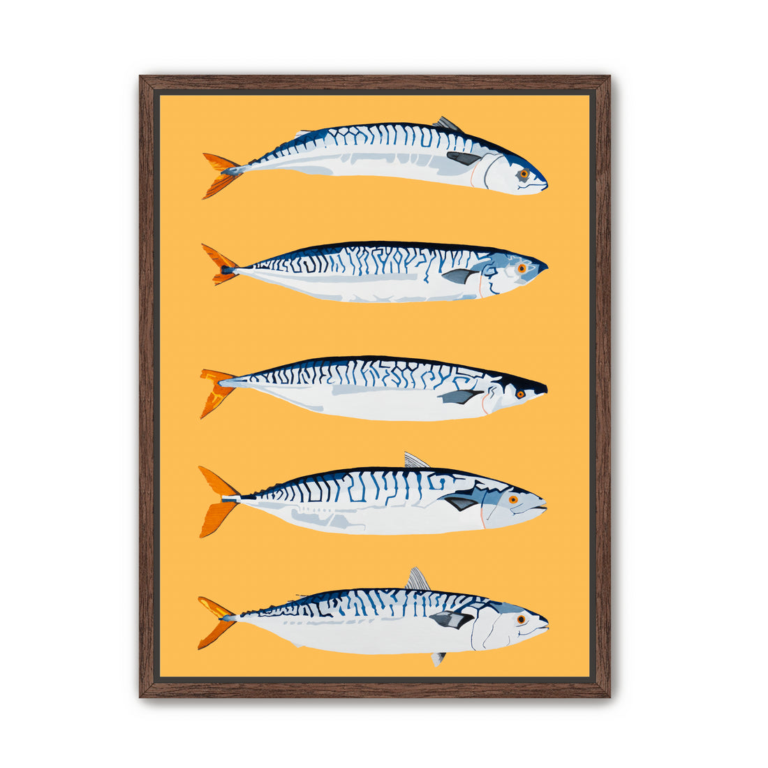 The Freshwater Five