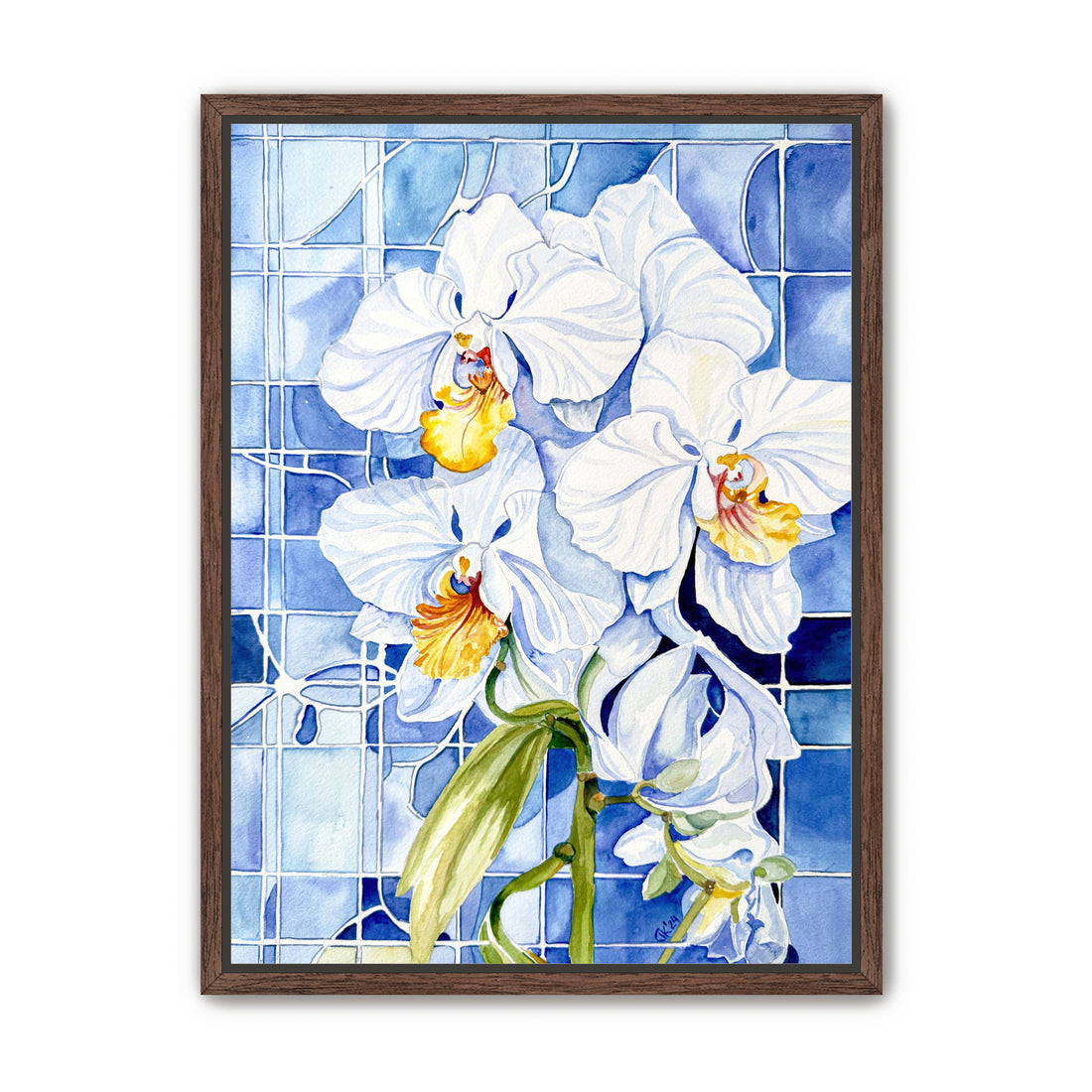 White Orchid – Floral Heritage: Portugal in Bloom