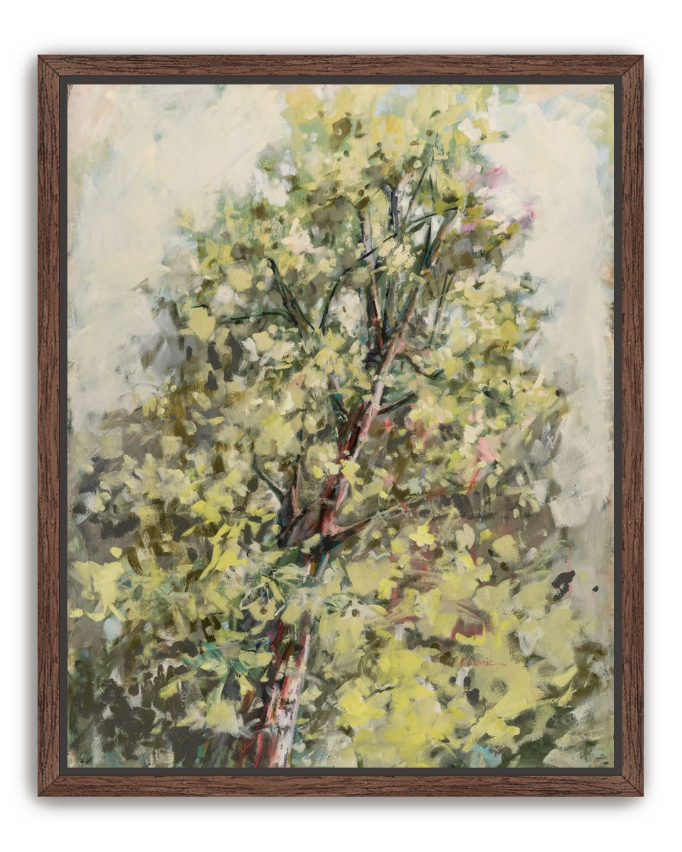 a soft place to land 2