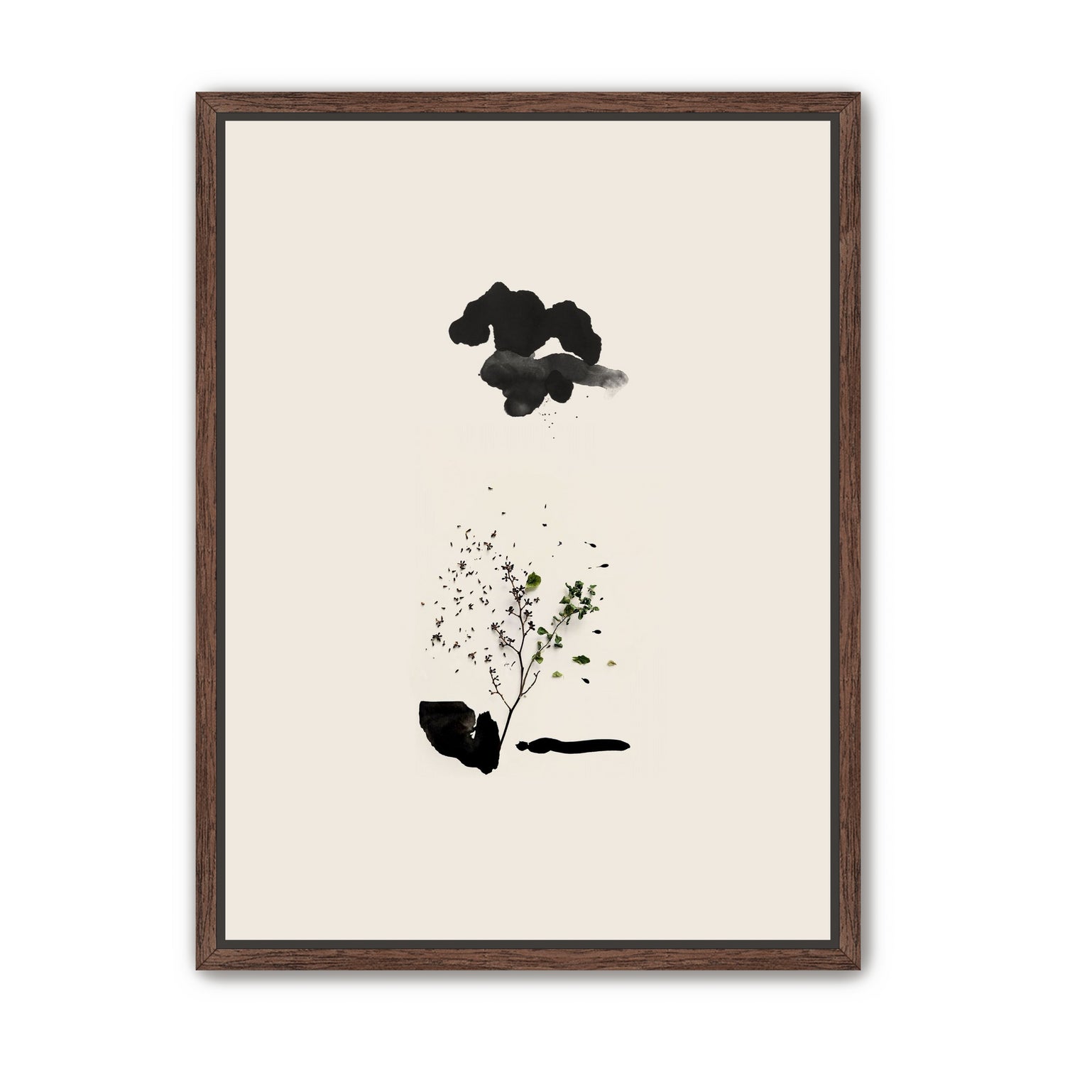 Ink and Leaves - Cloud forest