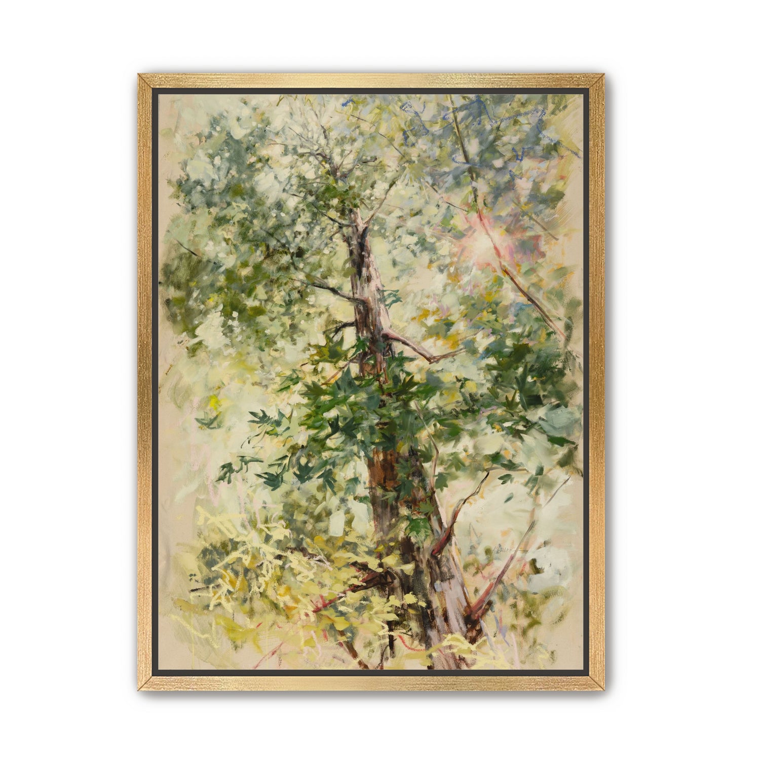 a soft place to land