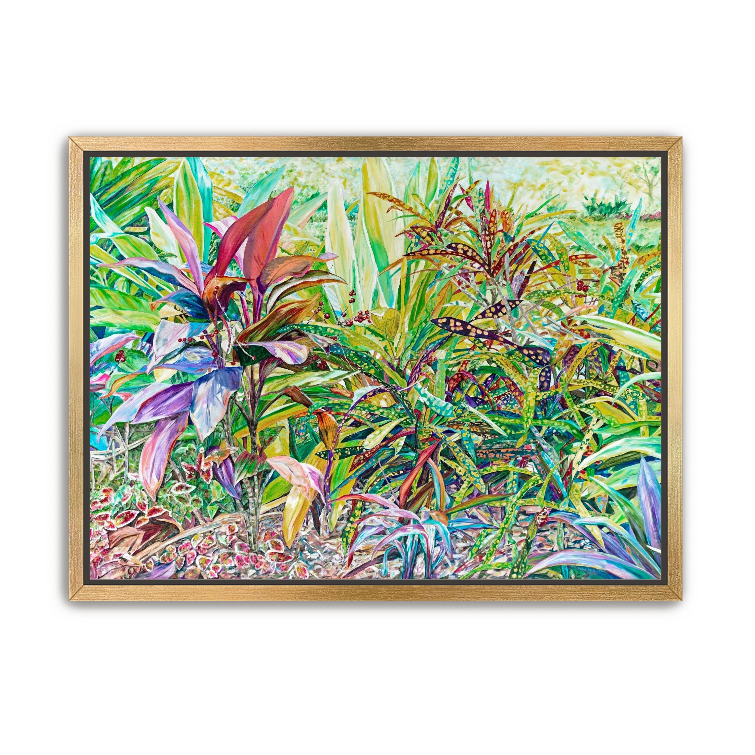 Ti Plant with Crotons