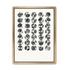 Ari-circulars-series-3