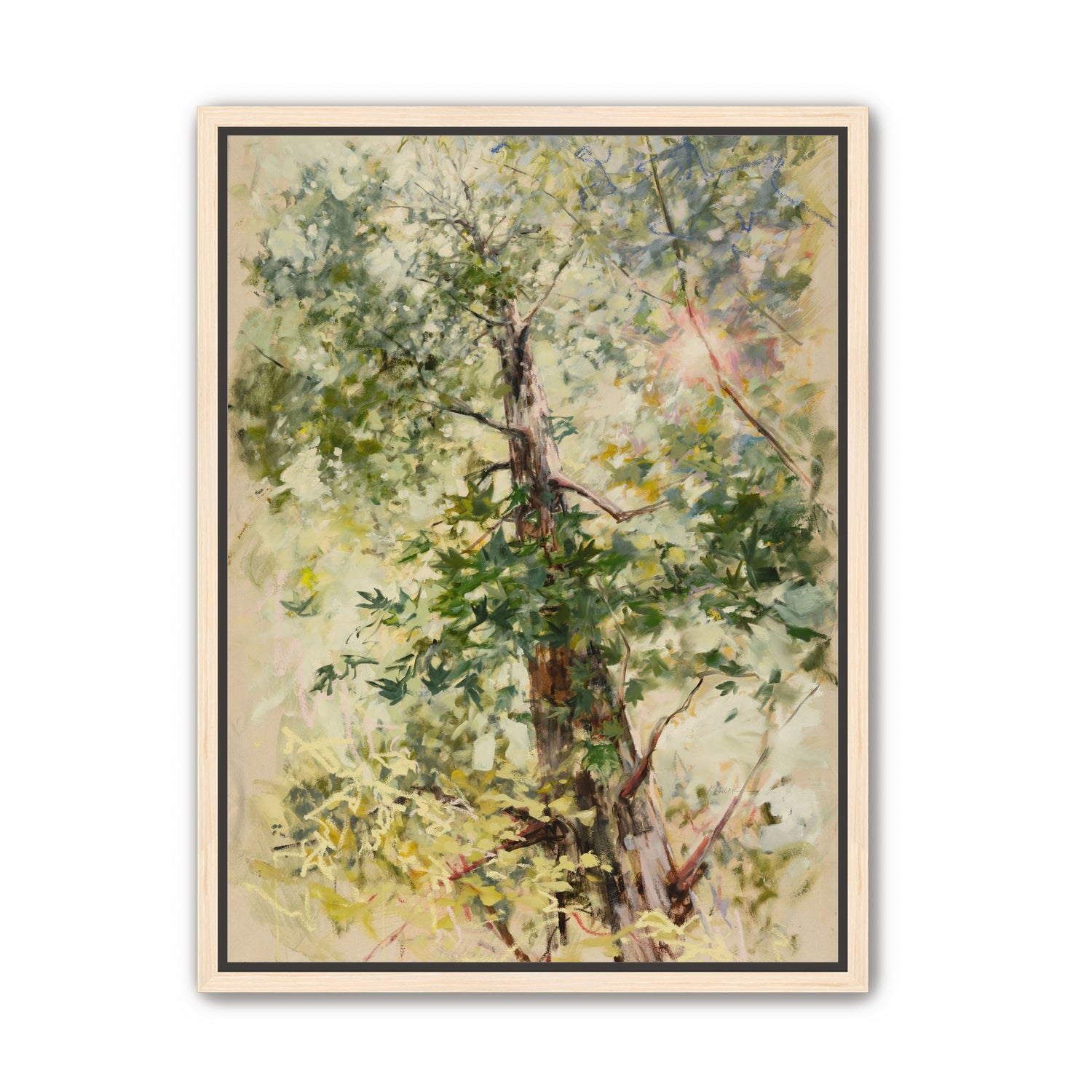 a soft place to land