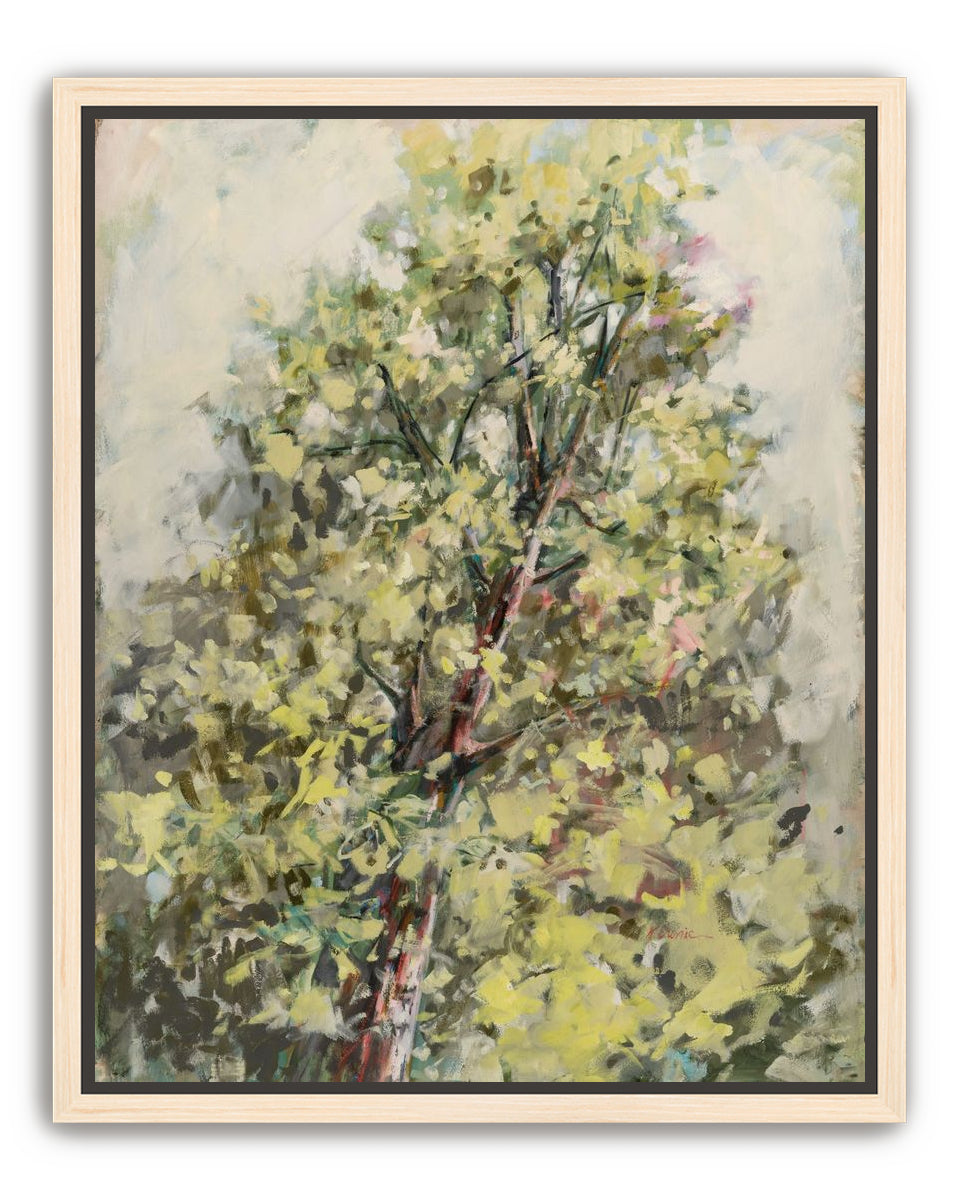 a soft place to land 2