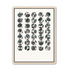 Ari-circulars-series-3